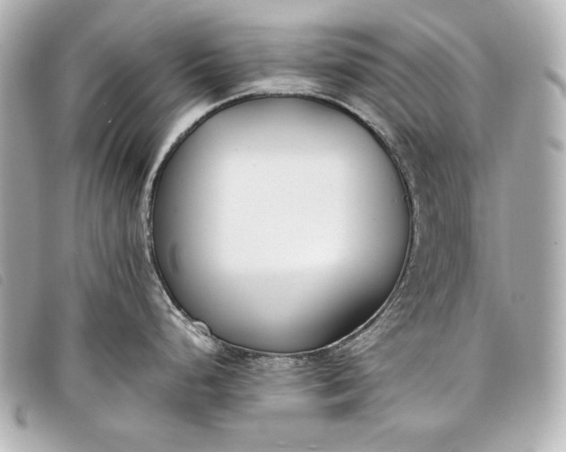 X0000098101248200804181416