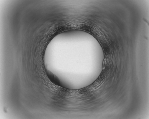X0000098101249200804181415