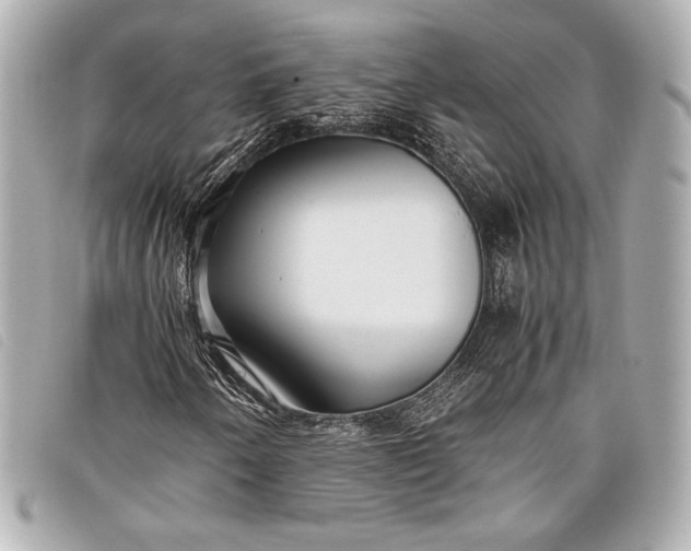 X0000098101250200804181415