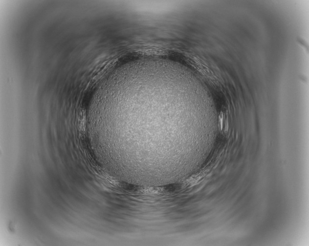 X0000098101251200804181415
