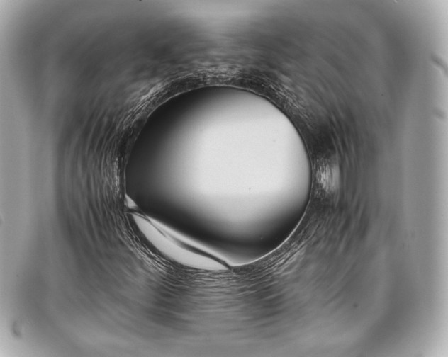 X0000098101252200804181415
