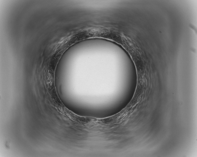 X0000098101253200804181415