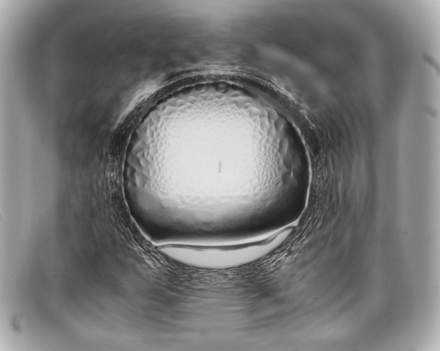 X0000098101255200804181415