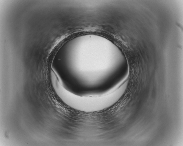 X0000098101256200804181415
