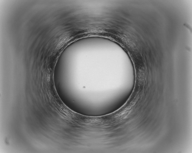 X0000098101257200804181415