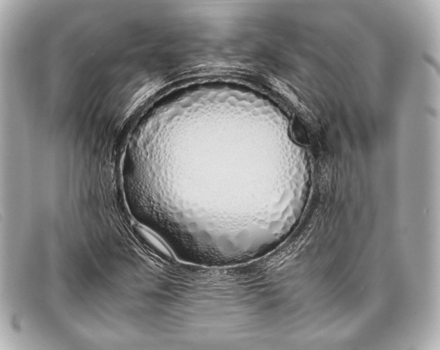 X0000098101259200804181415