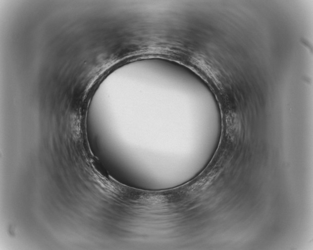 X0000098101260200804181415