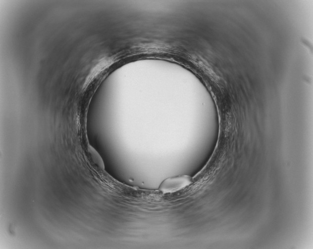 X0000098101261200804181415