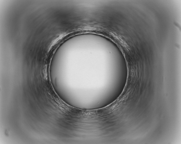 X0000098101262200804181415
