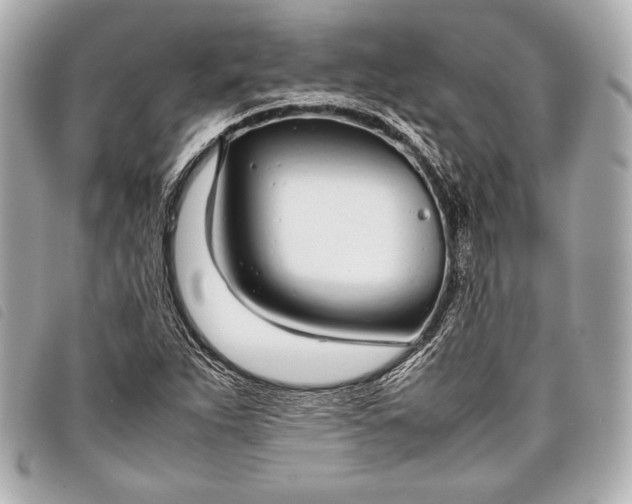 X0000098101263200804181415