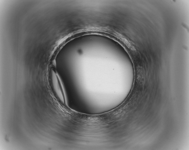 X0000098101264200804181415