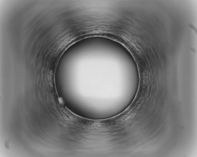 X0000098101265200804181415
