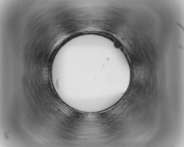 X0000098101266200804181415