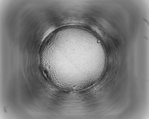 X0000098101267200804181415