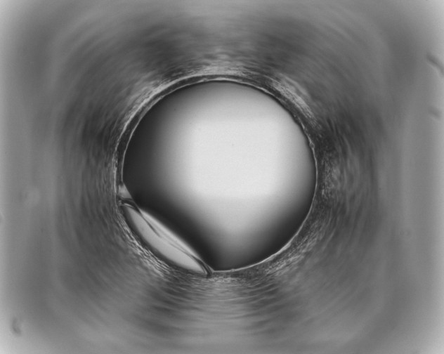 X0000098101268200804181415