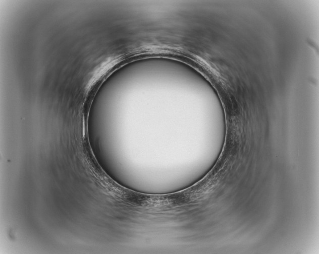 X0000098101269200804181415