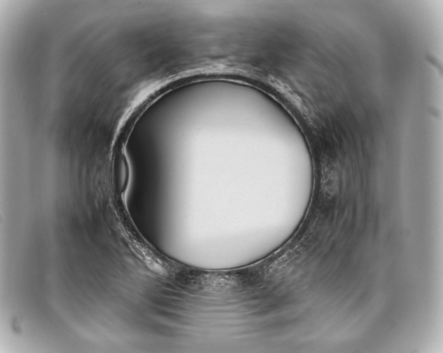 X0000098101270200804181415