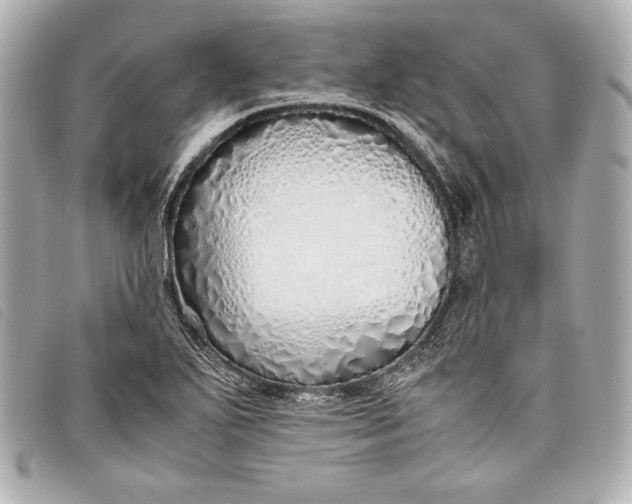 X0000098101271200804181415