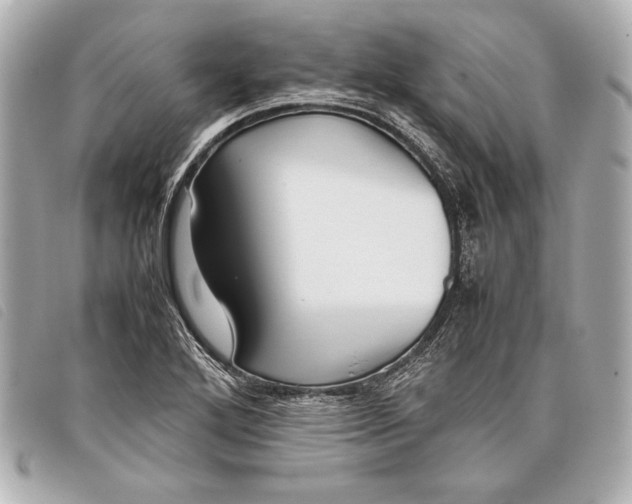 X0000098101272200804181415