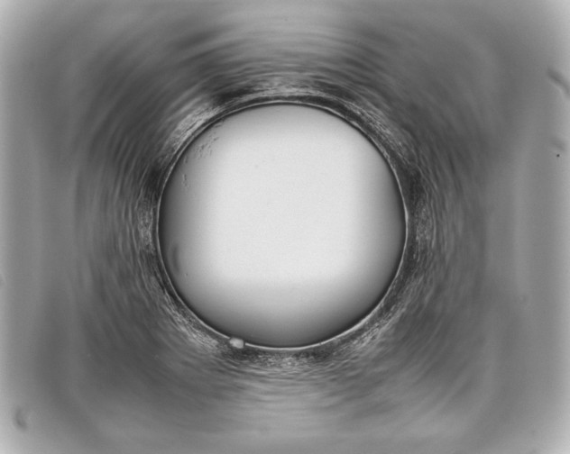 X0000098101273200804181415