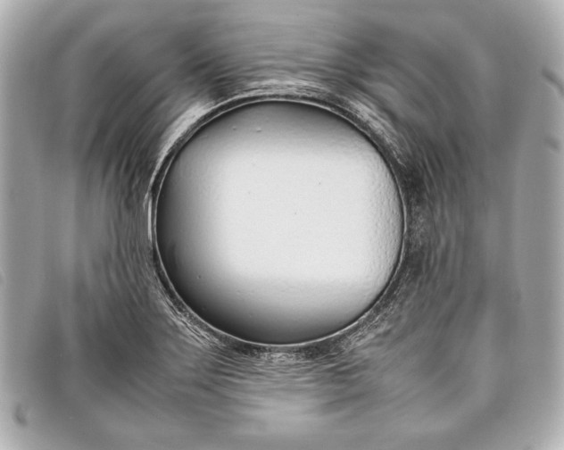 X0000098101275200804181415