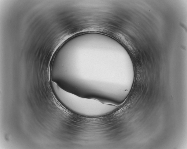 X0000098101276200804181415