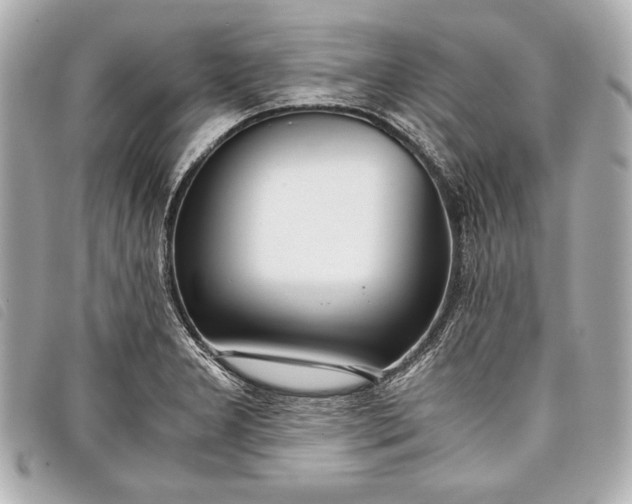 X0000098101277200804181415