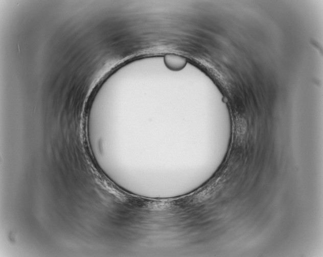 X0000098101278200804181415