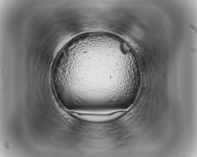 X0000098101279200804181415