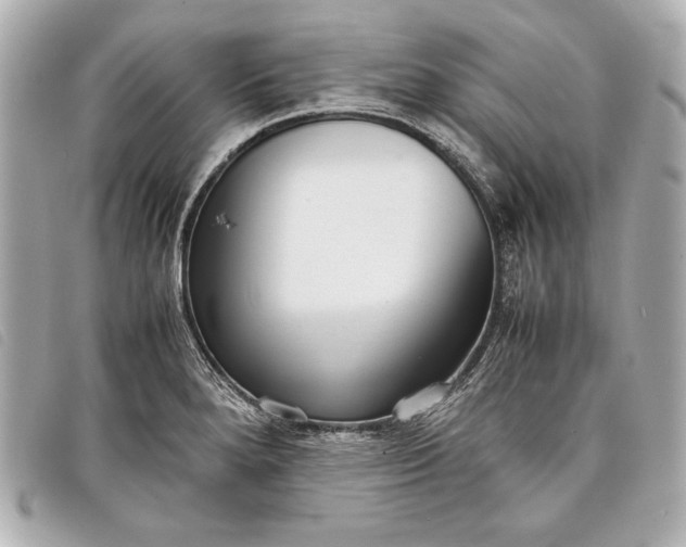 X0000098101280200804181415