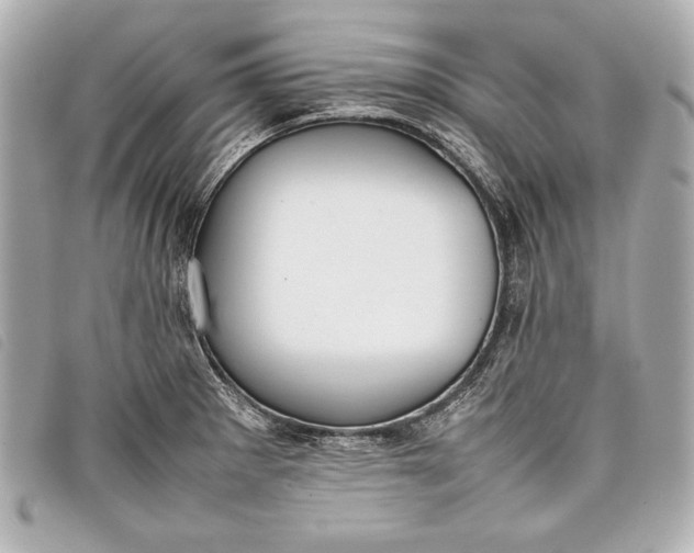 X0000098101281200804181415