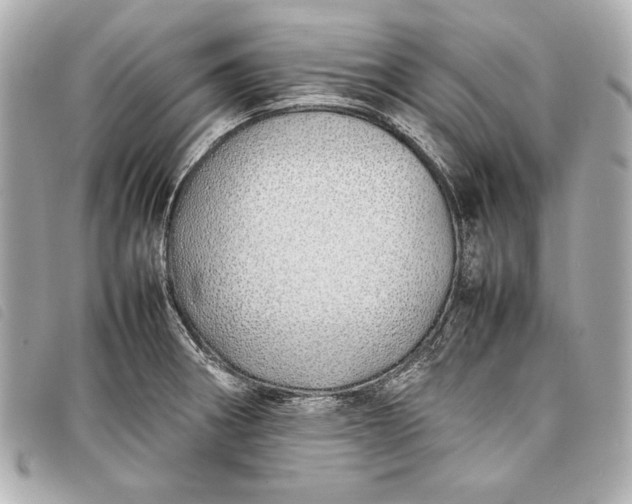 X0000098101282200804181415