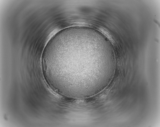 X0000098101283200804181415