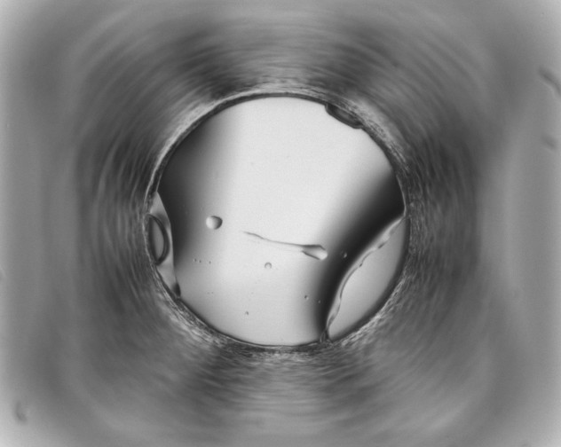 X0000098101284200804181415