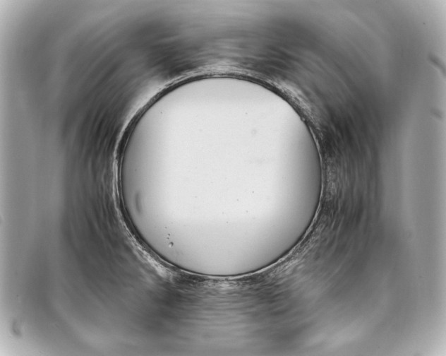 X0000098101286200804181415