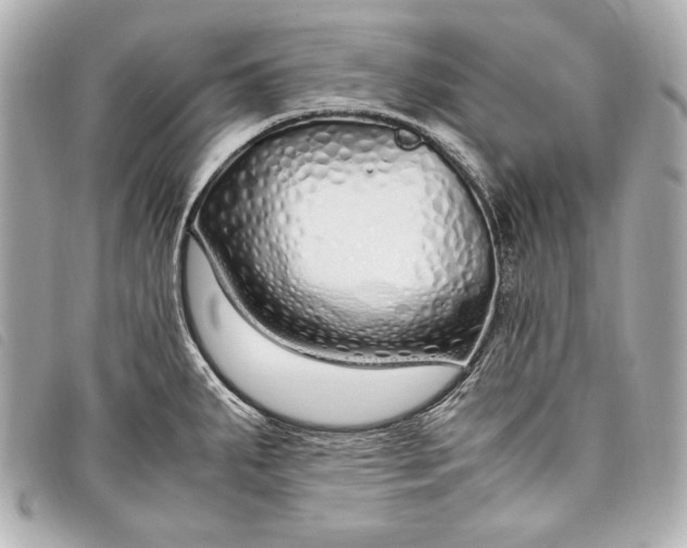 X0000098101287200804181414