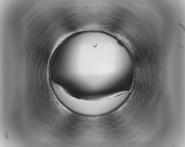 X0000098101288200804181414
