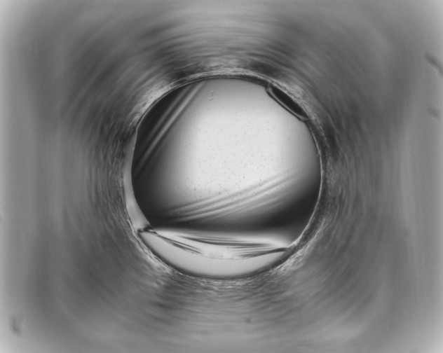 X0000098101289200804181414