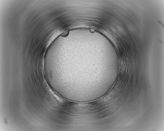X0000098101290200804181414