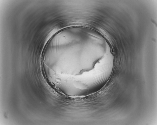 X0000098101291200804181414