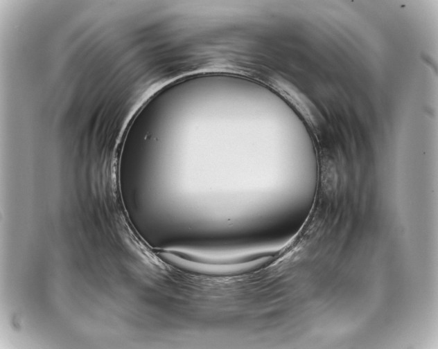 X0000098101292200804181414