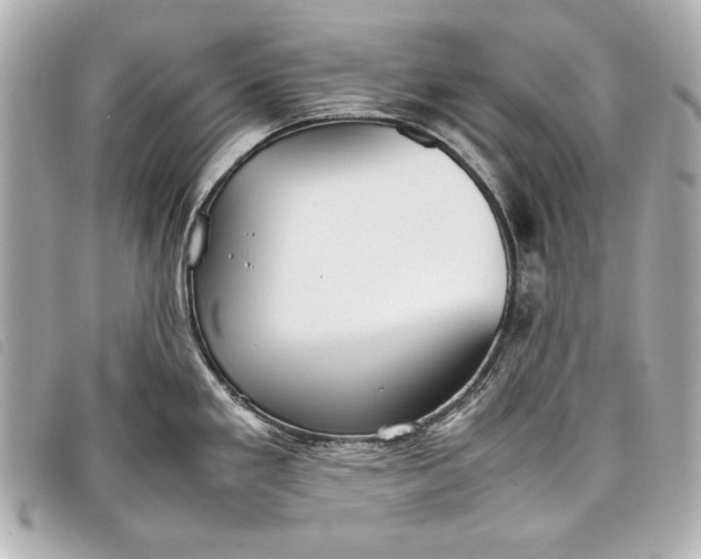 X0000098101293200804181414