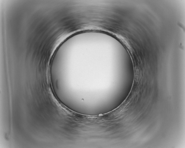 X0000098101295200804181414