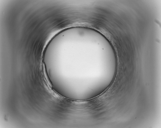X0000098101296200804181414