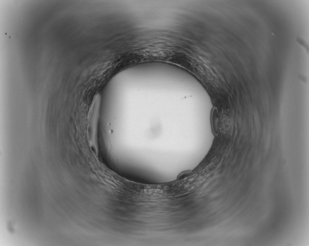 X0000098101297200804181414