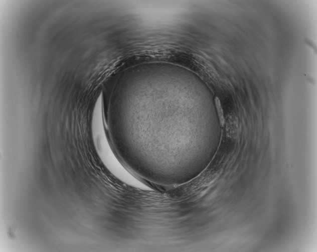 X0000098101298200804181414