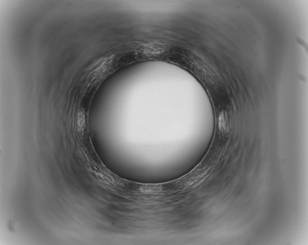 X0000098101299200804181414