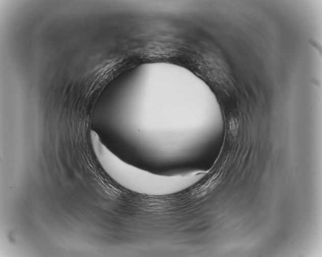 X0000098101300200804181414
