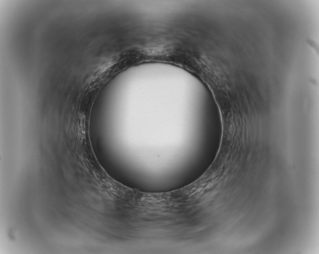 X0000098101301200804181414