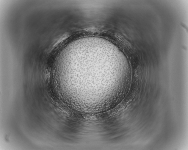 X0000098101302200804181414